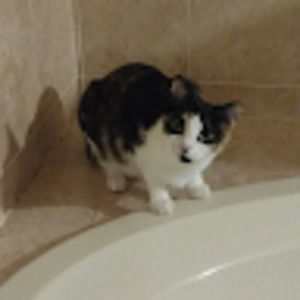 Meet your Posher, Lee